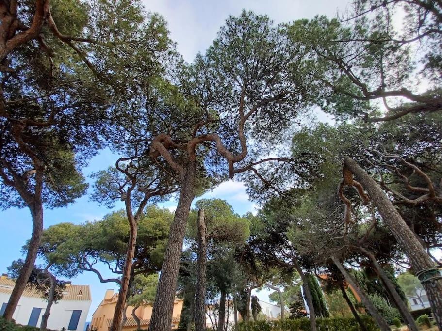 Apartamento Roc Mar Llafranc Bagian luar foto